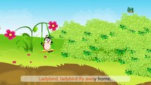 Lady Bird Lady Bird Fly Away - Nursery Rhymes Kids Videos Songs for Children & Baby by art