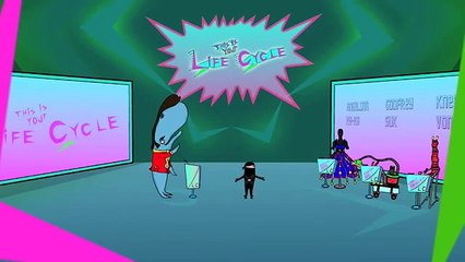 Life Cycle Assessment & sustainability animation | This is Your Life Cycle