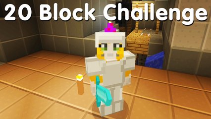 Minecraft PS4 - 20 Block Challenge - Hot Topic (14)