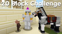 Minecraft PS4 - 20 Block Challenge - I Placed Blocks! (11)