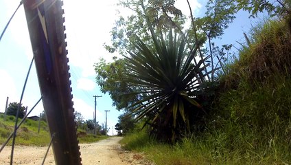 Mtb, 2,7k, ultra HD, Trilha, Bar do Jonas, Caçapava Velha, 12 amigos, 54 km, (134)