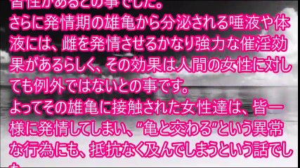 人間の女と『姦亀』【修羅場なおはなし】