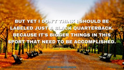 Cam Newton Quotes #1