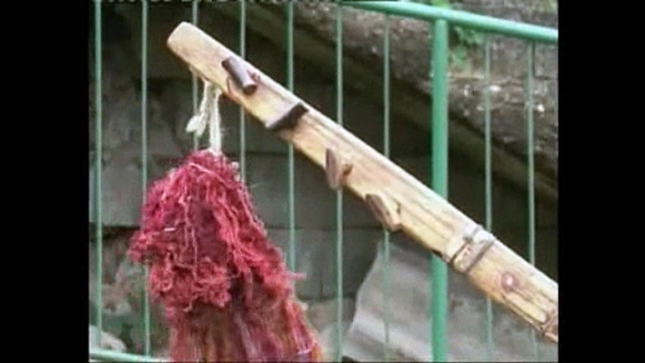 sargija na minski pogon.flv