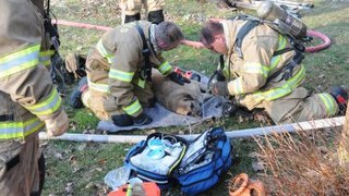 Dog rescued, two cats die in Van Buren Co. house fire