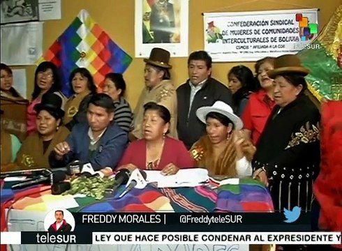 Bolivia: polémica por propuesta de aumentar causales del aborto legal