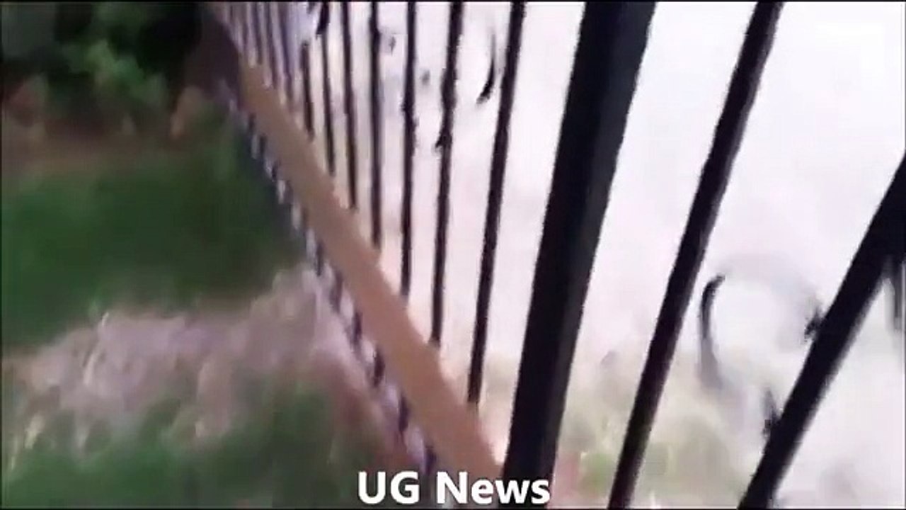 【喧嘩動画】血の気の多いおばあちゃんの決闘