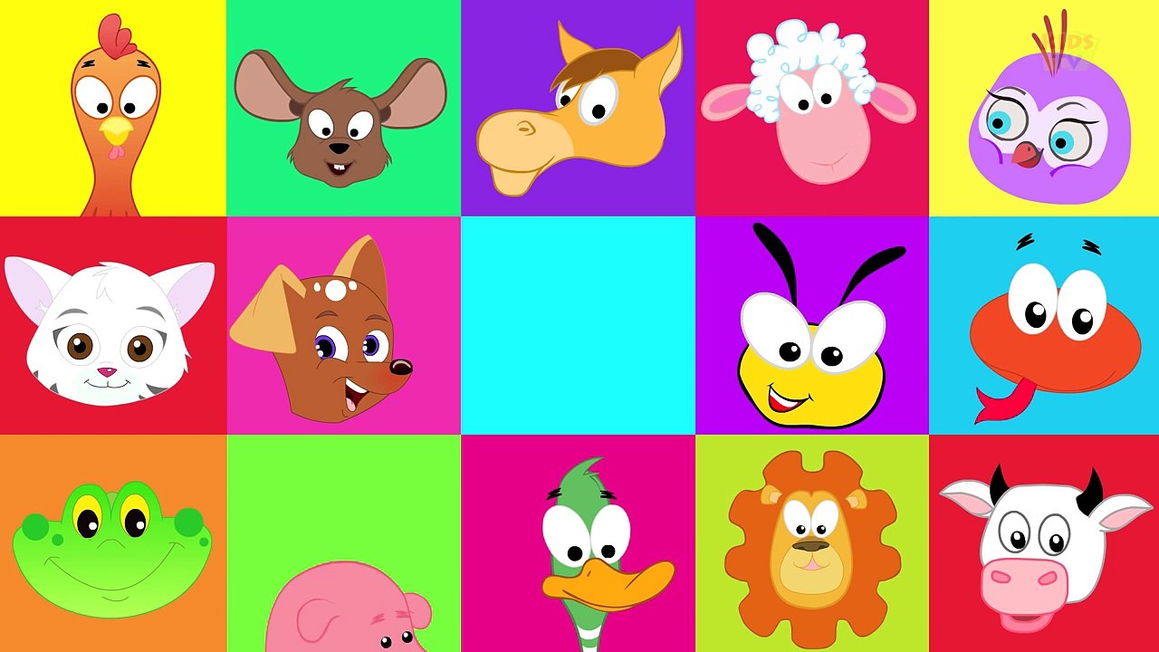 The Animal Sounds Song