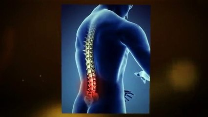 chiropractors in brick nj
