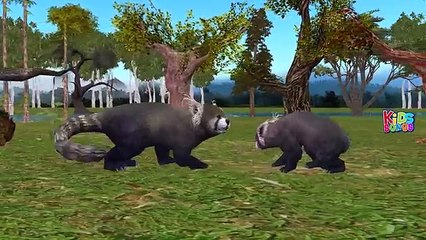Finger Family Animals Cartoon Collection Learn Animals For Babies Nursery Rhymes Children
