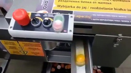 The sacred egg smashers