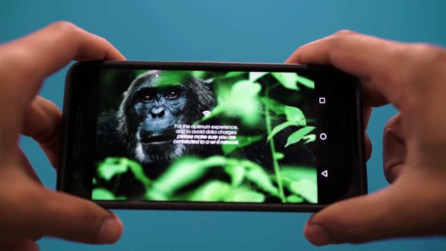 New Year, New Apps! Novo Ano Novos aplicativos