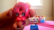 Shopkins LPS Mystery Surprise Handmade Blind Bags Toys Cookieswirlc Fan Mail Littlest Pet