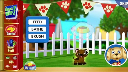 Super Why Woofster Game Video - Woofsters Puppy Day Care - PBS Kids Games New HD