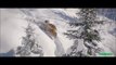 A viral video of Siberian tigers chasing and destroying a drone hides a very dark secret