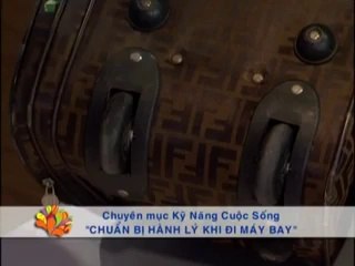 Getting Traveling Baggage