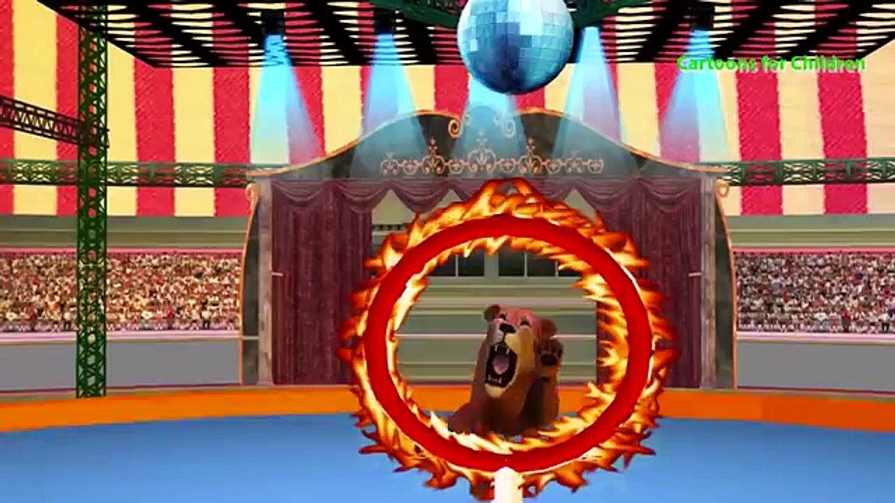 Animals finger family 3d rhymes | Wild Cartoon Zoo Forest Lion Tiger Nursery Kids Songs