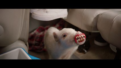 'Diary of a Wimpy Kid: The Long Haul' Trailer 2