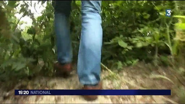 Beaumont-sur-Oise : une ancienne carrière d'extraction de craie transformée en centre de plongée sous-marine