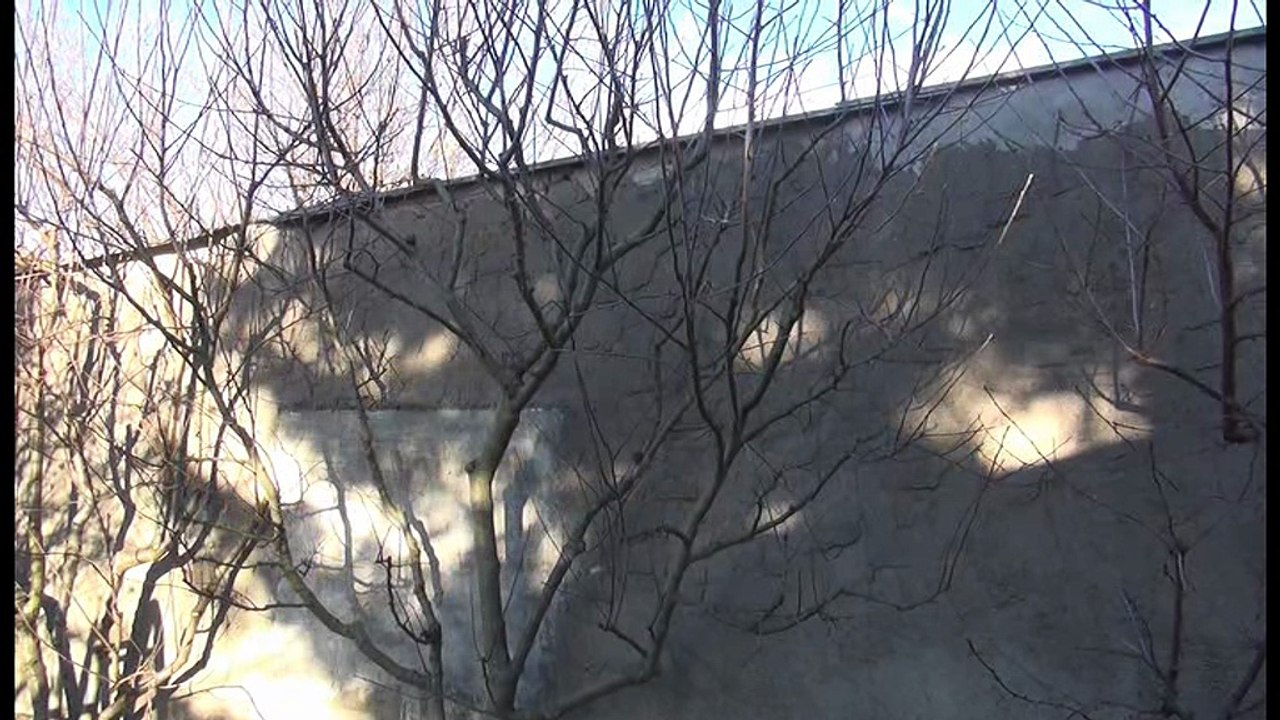 Gartenzeit TV - 'Winterarbeit im Garten'