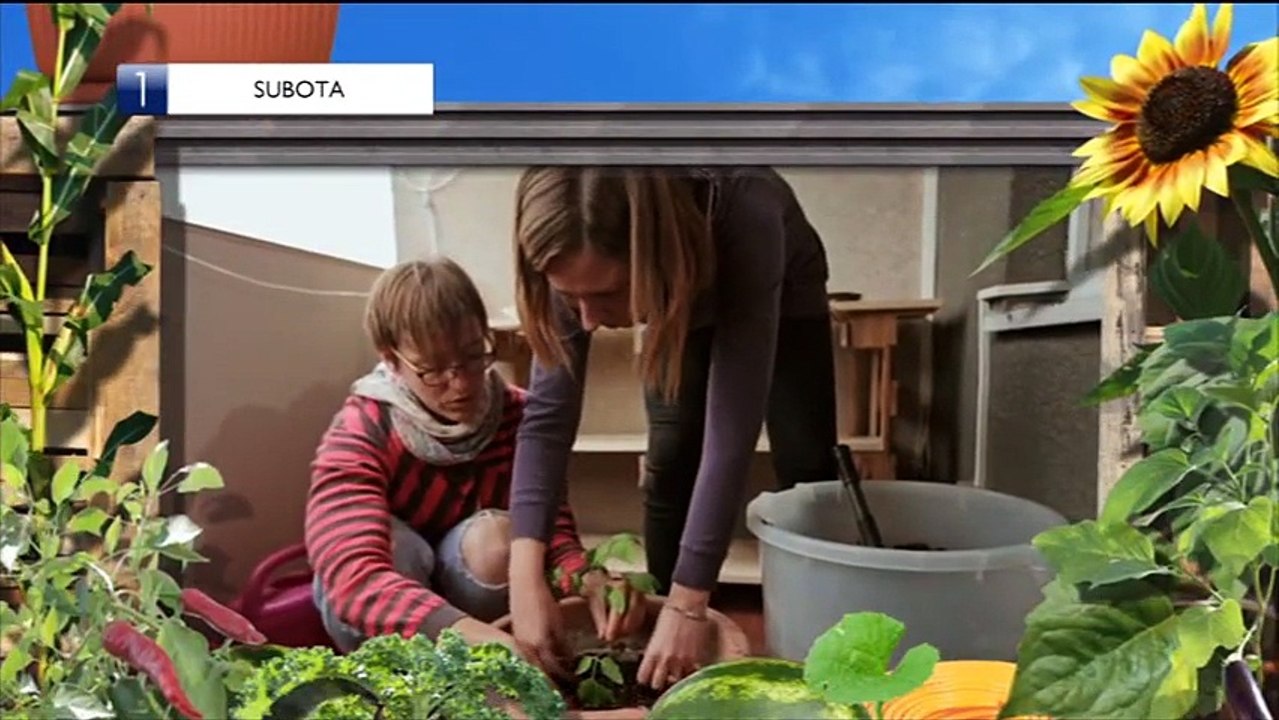 Hanna, slusaj svoje srce 024