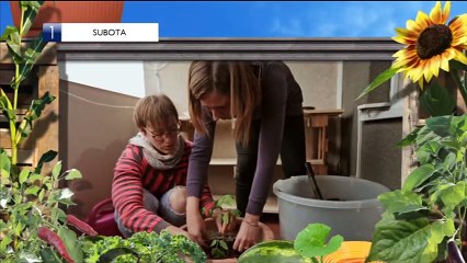 Hanna, slusaj svoje srce 024