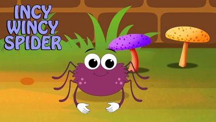 Incy Wincy Spider | Kids Songs Collection | by Nursery Rhyme Street