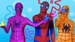 spiderman vs joker vs frozen elsa Finger Family Songs Collection|Superhero|FingerFamily Nu