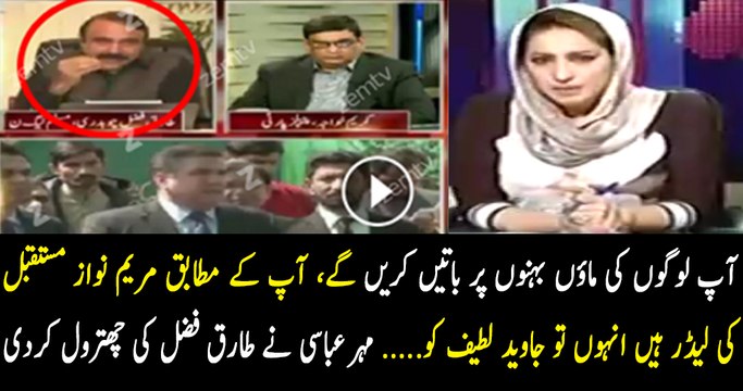 Mehar Abbasi grills Tariq Fazal Chaudhry