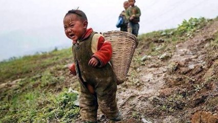 The images take away many tears of the viewer