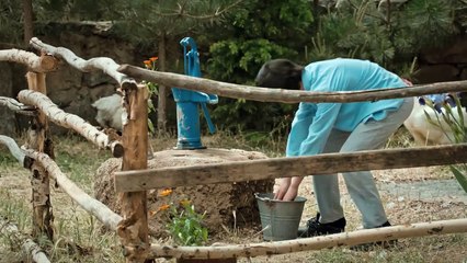 Beyaz Balina - Fragman