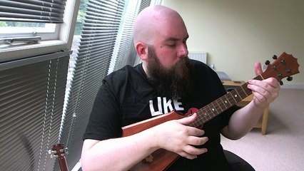 RainSong: Innovative Guitar Design