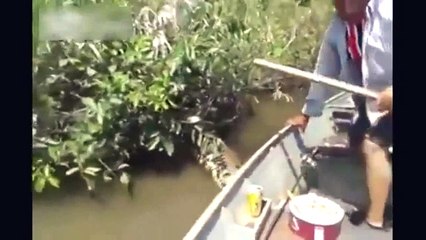 Men catch the Biggest Python at river when python attack him