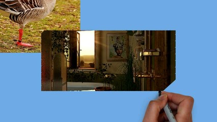 ازاى اخلى حياتى اسهل