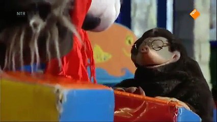 Koekeloere Samen spelen