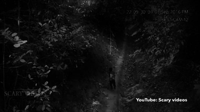 Mạng xã hội xôn xao với video cậu bé bị ma dí khi đang đi bộ trong rừng