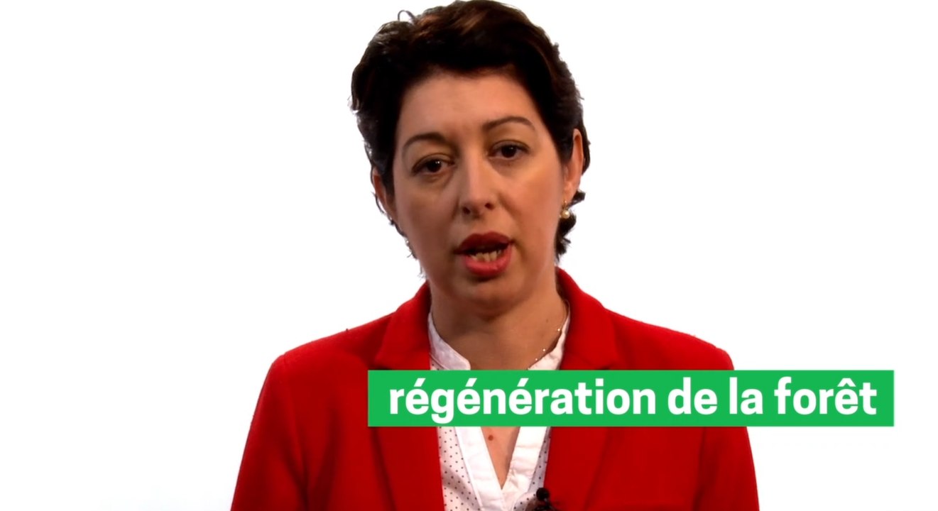 La forêt française : gestion durable et innovation