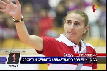 Punta Hermosa: familia de Natalia Málaga rescató a cerdito arrastrado por huaico
