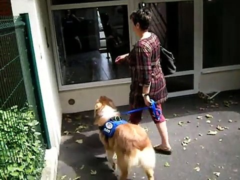 Pyrénées : des chiens formés pour assister des personnes souffrant de surdité !