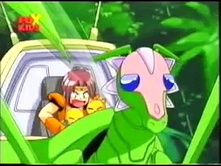 שינזו - פרק 7: אל תוך הג'ונגל