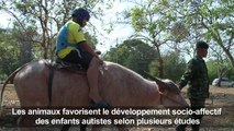 Thaïlande: des buffles comme thérapie pour des autistes