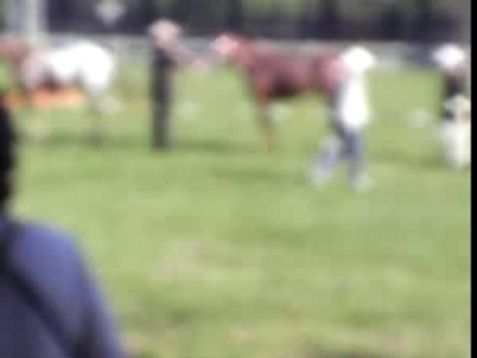 MOV002