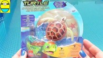 Toys review toys unboxing. Robo turtle. Turtle robot rofofish unboxing toys egg surprise tv channel-bpwaJksXKr4