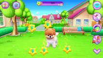 Boo The Worlds Cutest Dog - Android Gameplay - Virtual Pet Game For Kids