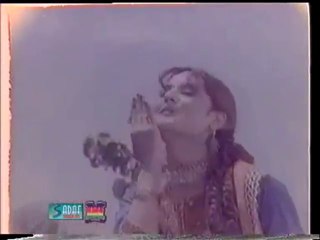 AFSHAN - QURBAN JAWAN - HASHAR NASHAR -PAK PUNJABI SONG ーHD ハラルスパイス岩倉市ジャパンSPICE FOOD JP