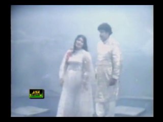 AYHO CHANDAA SE ASSI MAAR JAAYIE- NOOR JAHAN-PAK PUNJABI SONG ーHD ハラルスパイス岩倉市ジャパンSPICE FOOD JP