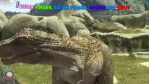Daddy Finger Dinosaurios Finger Family #57 | Jurassic Park Crazy T Rex Dinosaurs Best Batt