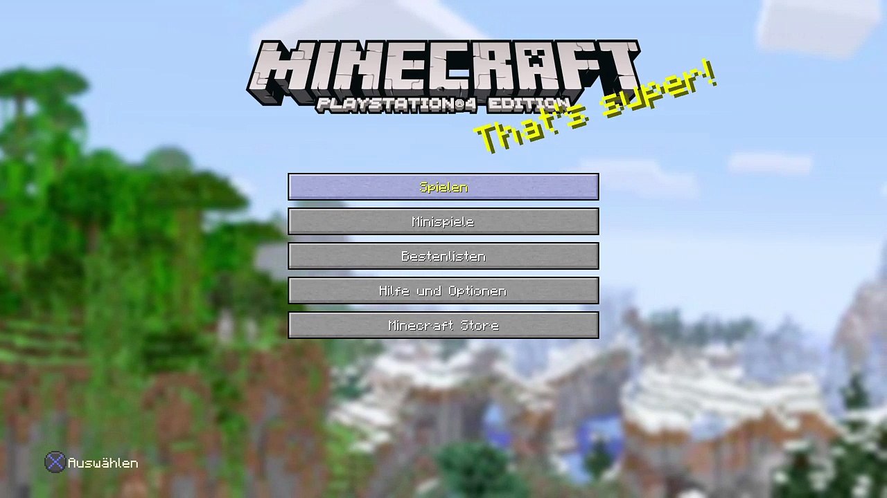 Minecraft lebe live (20)