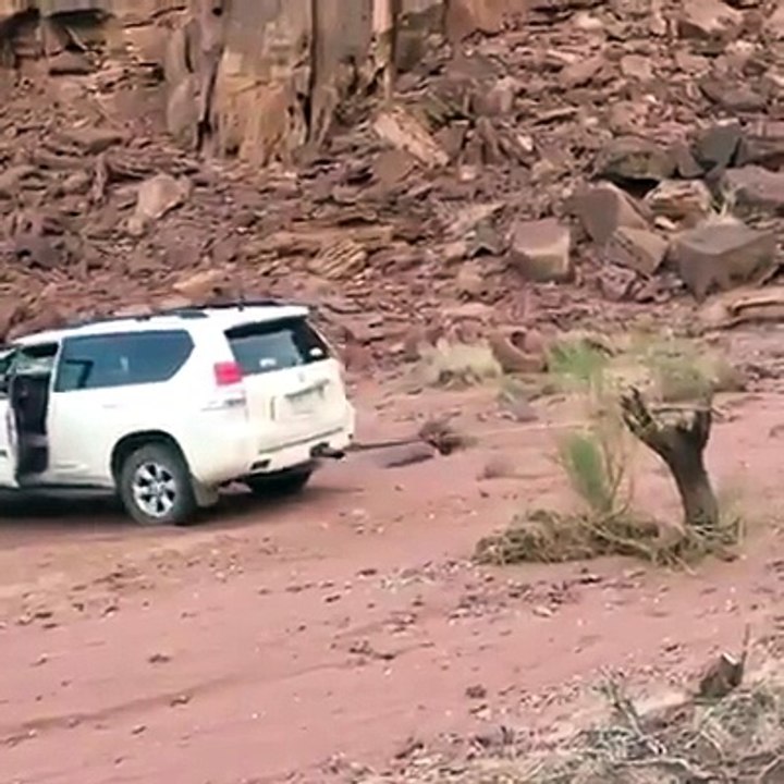 ‫شیخوں کے کام چیک کرو -) - ‬