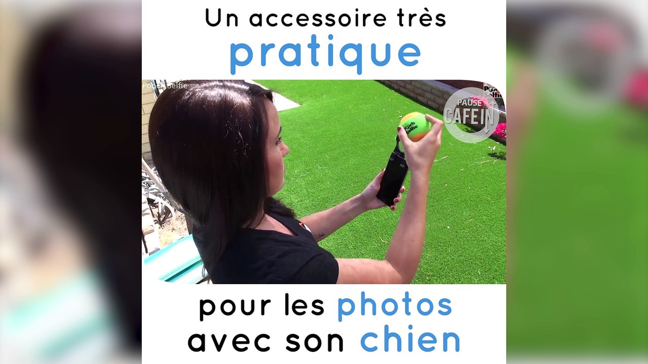 Spooch Selfie, un accessoire pour prendre des selfies avec votre chien